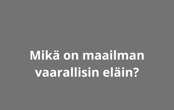 Mikä on maailman vaarallisin eläin