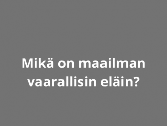 Mikä on maailman vaarallisin eläin